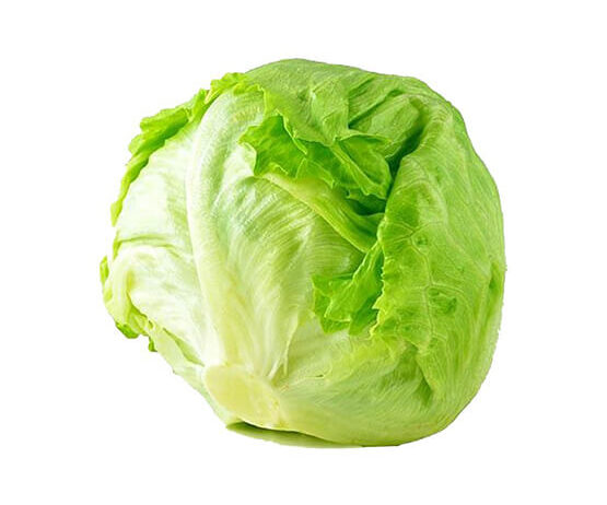 Season/Availability: From October till May. &nbsp; Sizes: from 300/350 gm to 700/800 gm/Piece/head. &nbsp; Crisp Iceberg Lettuce – Bright green, crunchy, and fresh-packed, Iceberg lettuce is ideal for retail and salad mixes. &nbsp; Packaging: Description One Layer Packaging Two Layers Packaging for Processing Carton/plastic box dimensions 40*60*16 CM 40*60*27 CM No. of pallets/Container 20 Pallets 20 pallets No. of Carton/Plastic box / Pallet 80 Cartons/Plastic box 40 Cartons / Plastic box No. of head/Carton/Box 10 heads 20-22 heads Approx. net weight/Carton/Box 6-7 KG 11-12 KG No. of Cartons/Boxes /Container 1600 Cartons/Plastic box 800 Cartons / Plastic box Net weight/Container 9.600 Kgs – 11.200 Kgs 8 – 10 Ton Bags Every head in an isolated bag All heads are in one big bag &nbsp;